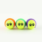 Fetch Gun - Pistola Lancia Palline per Cani